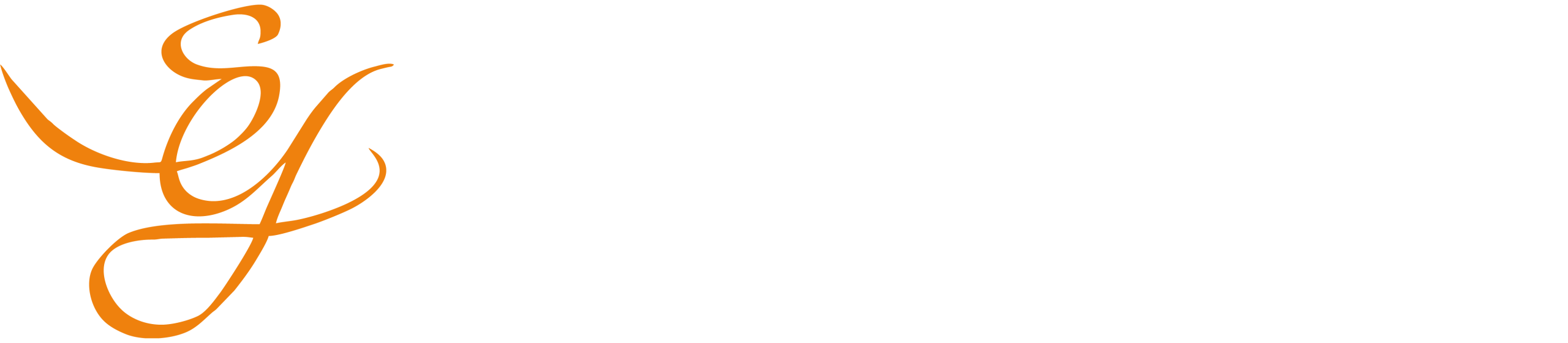 SEY Akademi